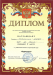 Диплом за 2 место